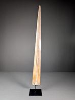 Zwaardvisrostrum Rostrum op een standaard - Xiphias gladius, Verzamelen, Nieuw