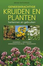 Geneeskrachtige kruiden en planten 9789044731330, N.v.t., Elfrune Wendelberger, Verzenden