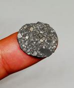 ALLENDE. De grootste koolstofhoudende meteoriet ter wereld.