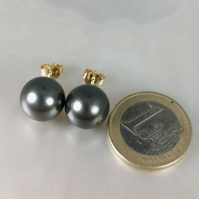 Oorbellen - 18 karaat Geel goud Parel - Grote Tahiti Peacock, Handtassen en Accessoires, Oorbellen