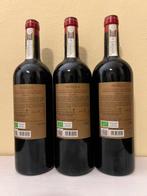 2018 Villa Trasqua, Nerento Gran Selezione - Chianti, Nieuw