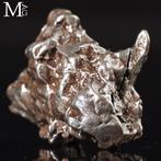 Campo del Cielo - Météorite – Fragment extraterrestre -