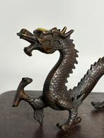 Statue, Draak 31 cm - 15 cm - Bronze