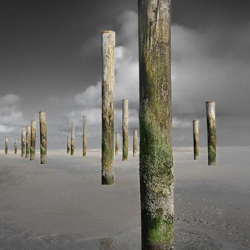 Wiepke Folkerts - Light, Antiek en Kunst, Kunst | Schilderijen | Modern