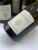 2023 Hubert Brochard Terres de Silex - Sancerre - 6, Nieuw