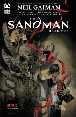 The Sandman Book 2 - Nieuw, Boeken, Strips | Comics, Verzenden
