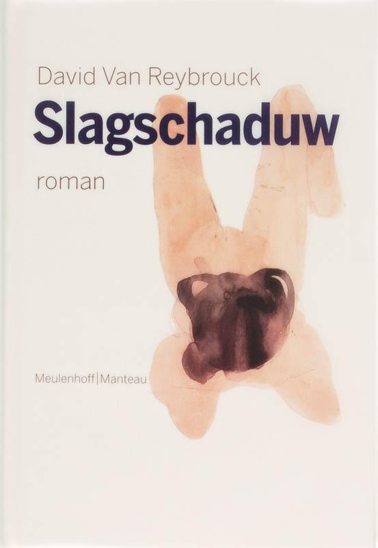 Slagschaduw 9789085420859 D. Van Reybrouck, Boeken, Literatuur, Zo goed als nieuw, Verzenden