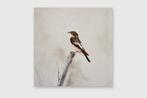 Matthieu van Riel - Bird, Antiek en Kunst, Kunst | Schilderijen | Modern