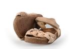 Nelson Sandalen in maat 23 Bruin | 5% extra korting, Kinderen en Baby's, Kinderkleding | Schoenen en Sokken, Verzenden, Jongen of Meisje