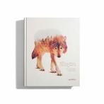 Illusive 4 9783899555875 John O’Reilly, Boeken, Taal | Engels, Verzenden, Zo goed als nieuw, John O’Reilly