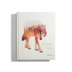 Illusive 4 9783899555875 John O’Reilly, Boeken, Taal | Engels, Zo goed als nieuw, Verzenden