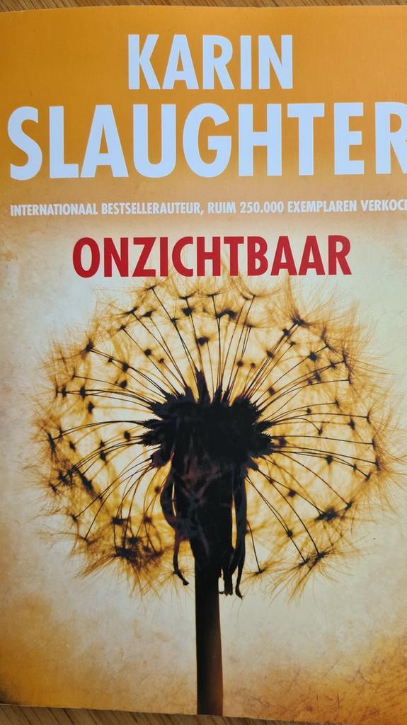 Onzichtbaar 9789023497219 Karin Slaughter, Boeken, Thrillers, Gelezen, Verzenden