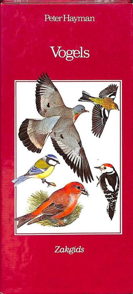 Zakgids Vogels 9789021010120 Hayman, Livres, Science, Envoi