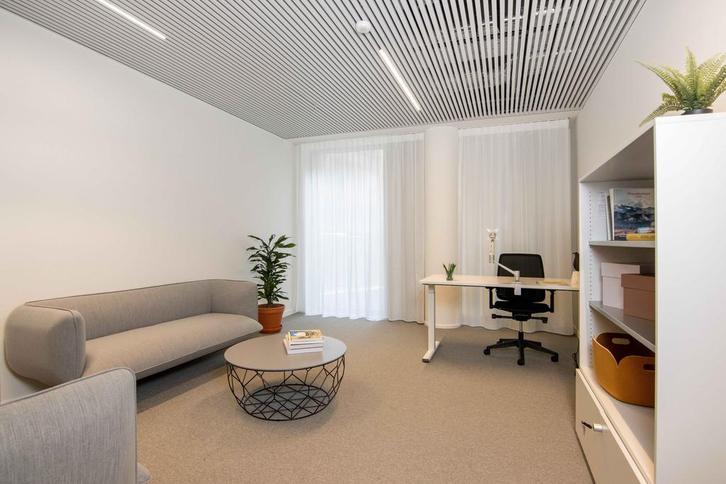 Coworkingruimte in Court of Justice, Zakelijke goederen, Bedrijfs Onroerend goed