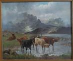Charles W. Oswald (1850-1899) - Highlands cattle