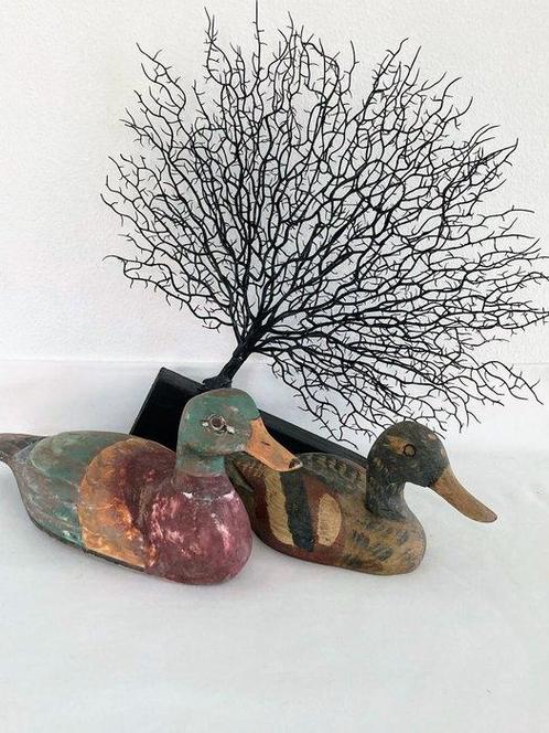 Lokeend - Oud (2) - Hout, Antiek en Kunst, Curiosa en Brocante