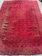 Tapis nomade afghan Mauri, tissé à la main, en laine, de, Nieuw