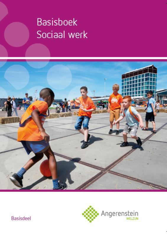 Basisboek sociaal werk 9789037244045 W. den Brok, Boeken, Schoolboeken, Gelezen, Verzenden