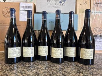2022 Castello della Sala, Pinot Nero - Umbrië - 6 Flessen beschikbaar voor biedingen