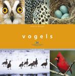 Vogels 9789052106700 J. Burger, Boeken, Verzenden, Gelezen, J. Burger