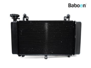Radiateur Benelli TRK 702 X, Verzenden