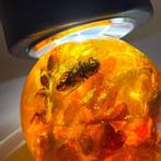 Bal met bij en Baltische amberstenen - Barnsteen - Succinite, Antiek en Kunst