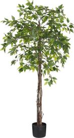 Tweedekans | Mica Decorations Ficus Kunstplant in Bloempot -, Ophalen of Verzenden