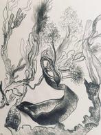 Camille Berg (1904-1991) - Fond marin - Dessin original