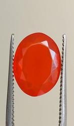 Vuuropaal - 4.80 ct - Antwerp Laboratory for Gemstone, Nieuw