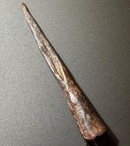 Oud-Romeins IJzer Onbeschadigde gesmede speerkop drietand