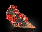 vanadiniet Exemplaar - Hoogte: 9.8 cm - Breedte: 4.3 cm- 122, Verzamelen, Mineralen en Fossielen