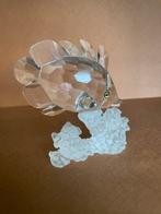 Swarovski - Figurine - Vlindervis - 162888 - Cristal