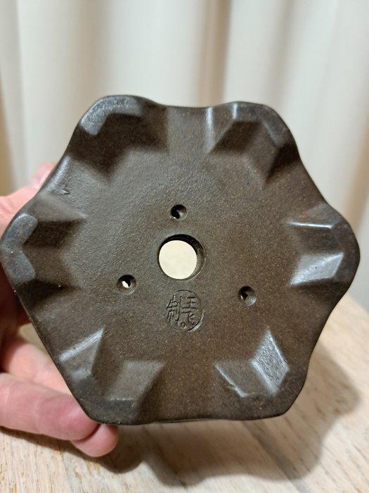 Bonsai schaal - 12x12x7cm - ongeglazuurd - Hoogte (boom): 0, Antiek en Kunst, Curiosa en Brocante