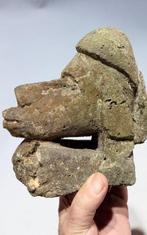 Deze Nguzu is een oude grafgift. - New Georgia -