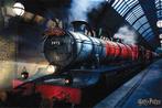 Hole in the Wall Harry Potter Maxi Poster-Hogwarts Express, Verzamelen, Ophalen of Verzenden, Nieuw