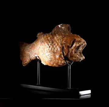 Het oude Egypte, Faience Tilapia-vormige container. 18,5 cm., Collections, Minéraux & Fossiles
