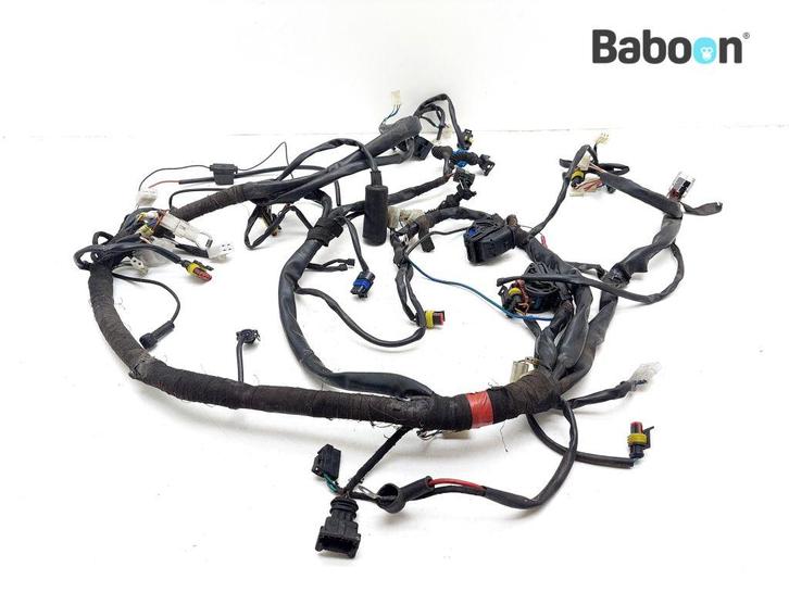Kabelboom Moto Guzzi 1200 Sport 2007-2009 (LPM0), Motoren, Onderdelen | Overige, Gebruikt, Verzenden