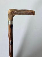 Wandelstok - Hout, Hertengewei - Ca. 1900