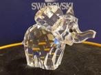 Swarovski - Figurine - Elephant, Big - 015169 - Box +