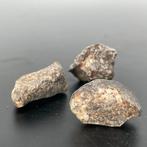 Pak!!! Meteoriet NWA 869, legendarische val Tipo L3-6 - 25 g