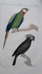 Buffon-Lacépède - Oeuvres complètes,vol. 22,les oiseaux -