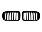 Glans Zwarte Nieren (Grillen) BMW X3 F25 B0344