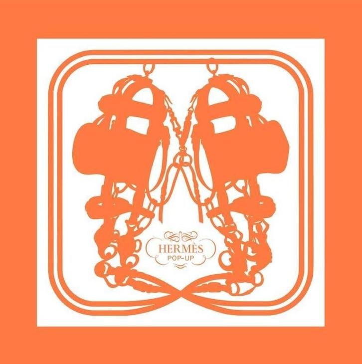 Hermès pop-up 9782330106485 Stéphane Foenkinos, Boeken, Taal | Engels, Gelezen, Verzenden