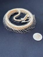 White-lipped Pit Viper Articulated Taxidermie volledige, Nieuw