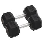 vidaXL Halters 2 st 30 kg gietijzer, Sport en Fitness, Verzenden, Nieuw
