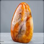Prachtige natuurlijke agaat-carneol Freeform, Brazilië-, Verzamelen