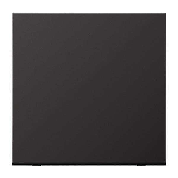 Élément de commande Jung/Interrupteur à Plaque centrale -, Bricolage & Construction, Électricité & Câbles, Envoi