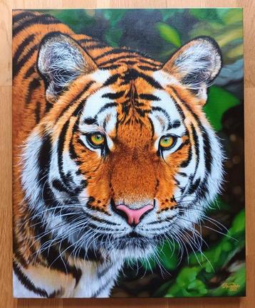 Maryna Prykhodko (1990) - Bengal tiger