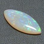 1 pcs Multicolore Opale - 4.50 ct - Antwerp Laboratory for, Verzamelen