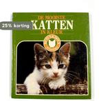 Mooiste katten in kleur 9789062484294, Verzenden